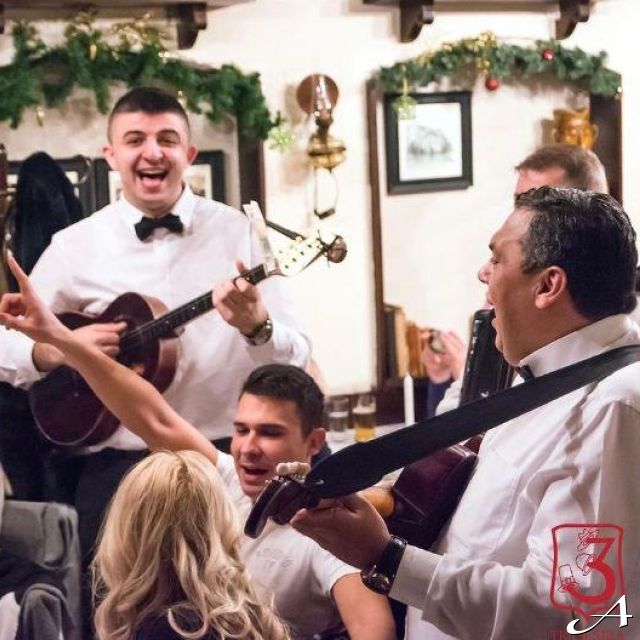 Doček Nove godine - muzičari sviraju
