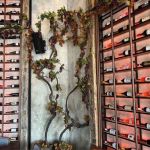 Restoran Tradicija Srpska Nova godina 2026