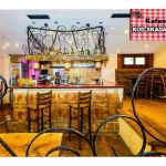 Nova godina u kafani Kod Skadarlije