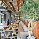 The Petica matinee doček Nove godine