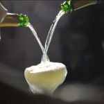 Vila Jelena Nova godina 2026