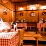 Splav kafana Uzbuna Doček Nove godine 2026