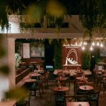 Santo Domingo doček Srpske Nove godine 2026