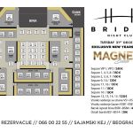 Nova godina na splavu Bridge