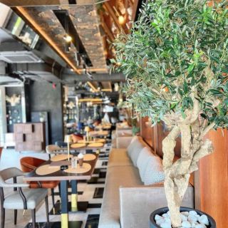 Dolly Bell Petica - enterijer restorana
