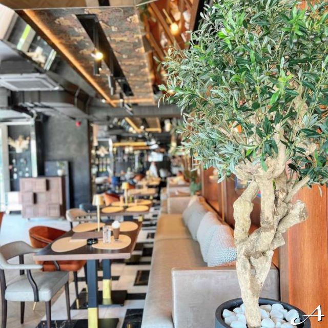 Dolly Bell Petica - enterijer restorana