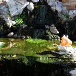 Restoran Staro ognjište Nova godina 2026