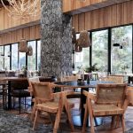 Dolly Bell Kopaonik Doček Srpske Nove godine 2026