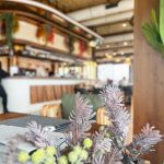 Dolly Bell Java - Doček Srpske Nove godine 2026