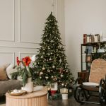 Doček u Beograduu - apartmani i stanovi