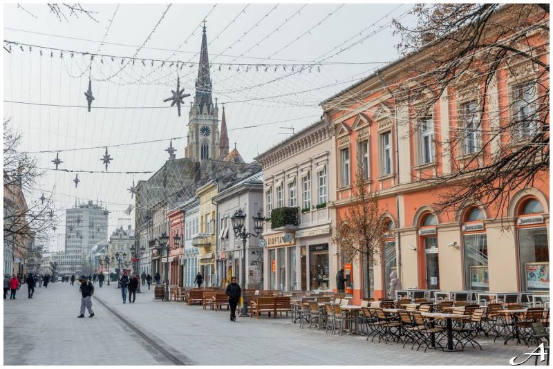 Doček na Trgu Slobode u Novom Sadu