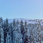 Nova godina Kopaonik