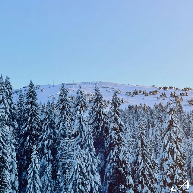 Kopaonik - zimska planina sa snegom
