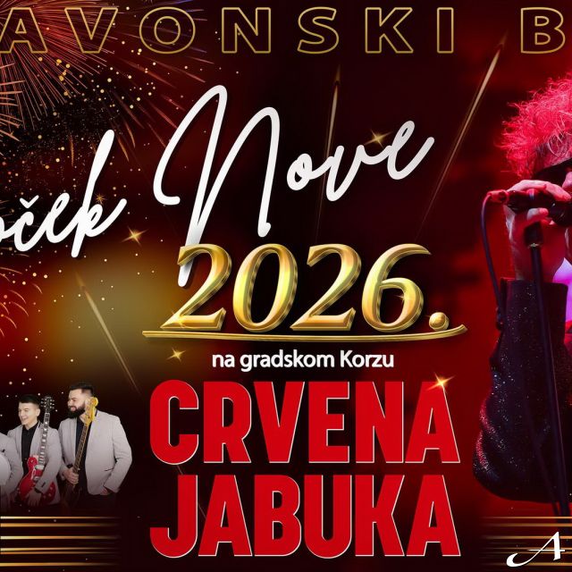 Doček Nove godine - pevač na sceni