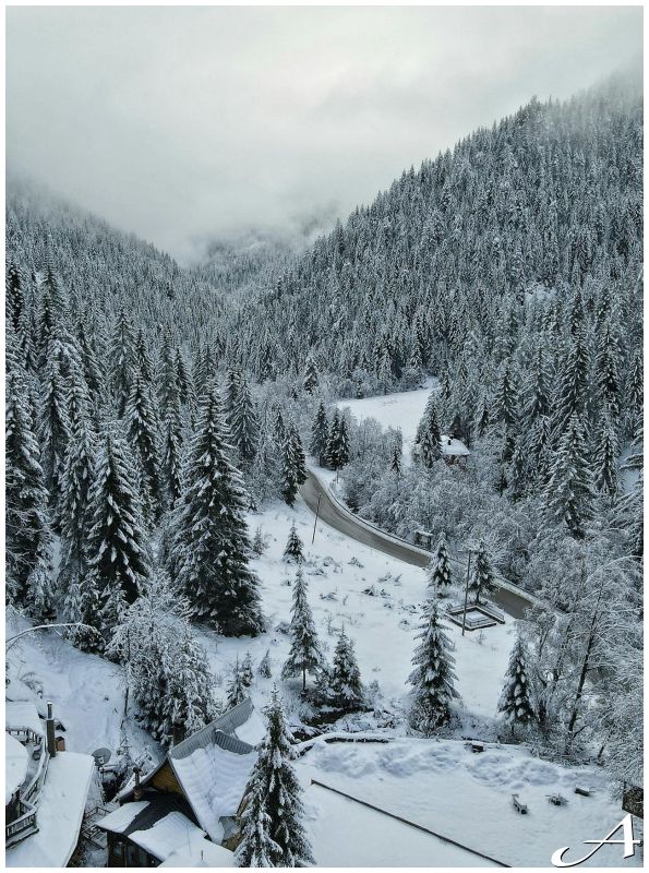 Nova godina Kopaonik