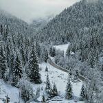 Nova godina Kopaonik