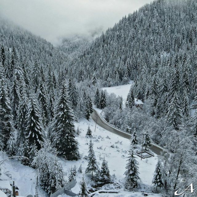 Kopaonik Doček Nove godine - zimski pejzaž