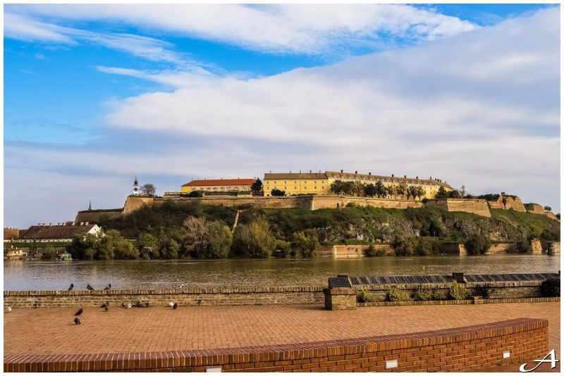 Doček na Trgu Slobode u Novom Sadu