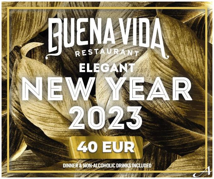 Nađa Golubović Doček Nove godine 2026