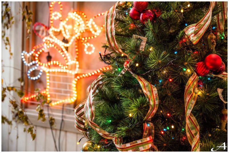 Herceg Novi doček Nove godine