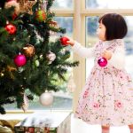 Ukrasi i dekoracija za Novu godinu