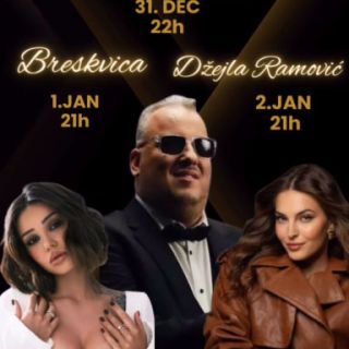 Doček Nove godine - izvođači na posteru