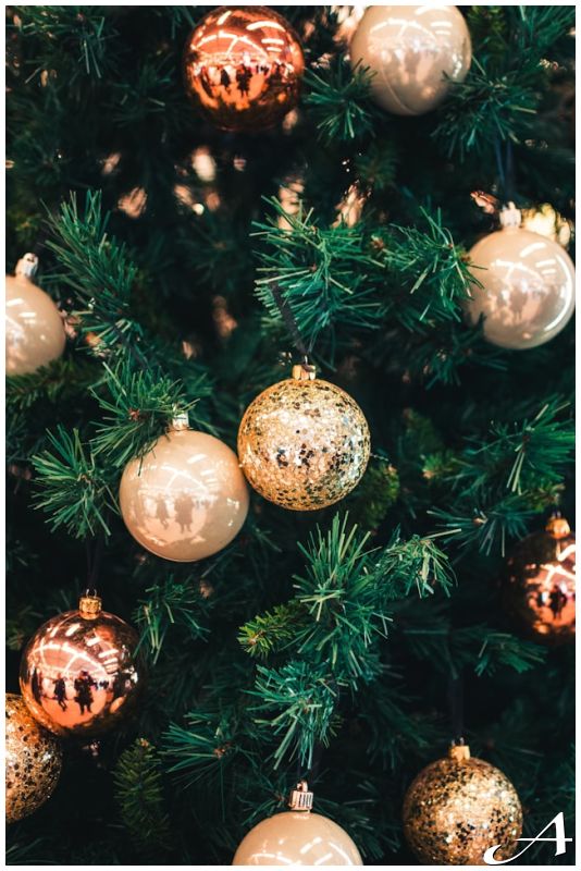 Postavljena novogodišnja jelka na Trgu republike