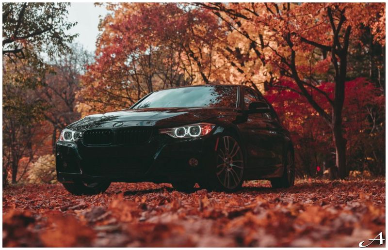 Doček Nove godine u Beogradu - prevoz