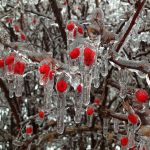 Vrremenska prognoza za doček Nove godine