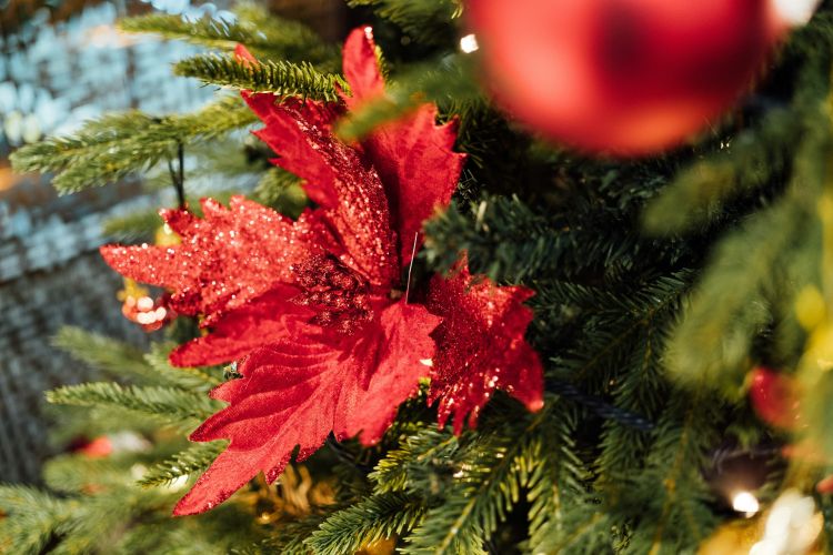 Čarobna zima Beograd - program, koncerti i klizalište ispred Arene