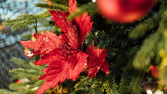 Čarobna zima Beogradska arena 2026