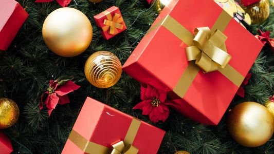 Novobeogradska bajka 2026