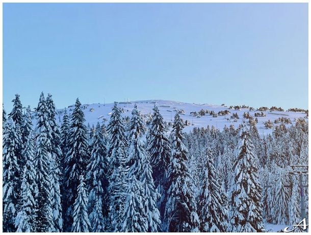 Kopaonik Doček Nove godine