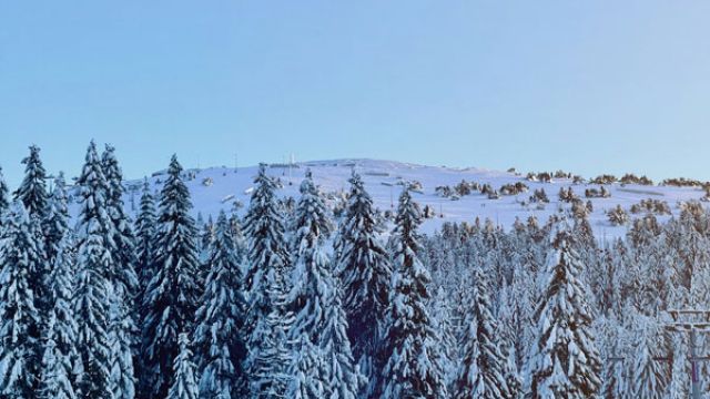 Kopaonik