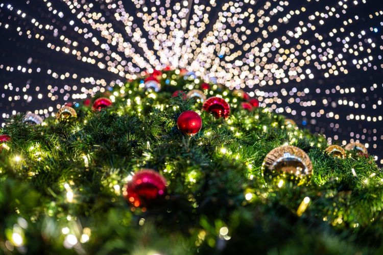 Novogodišnji bazar u Zaječaru na Gradskom trgu