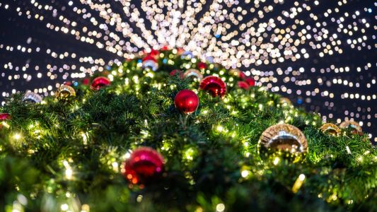 Zaječar Novogodišnji bazar