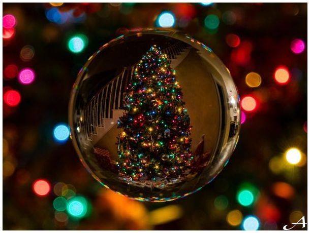 Euforija za vreme novogodišnjih praznika