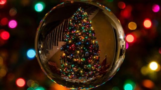 Euforija za novogodišnje praznike Euforija za novogodišnje praznike